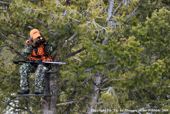 Big game hunter glassing from tree stand