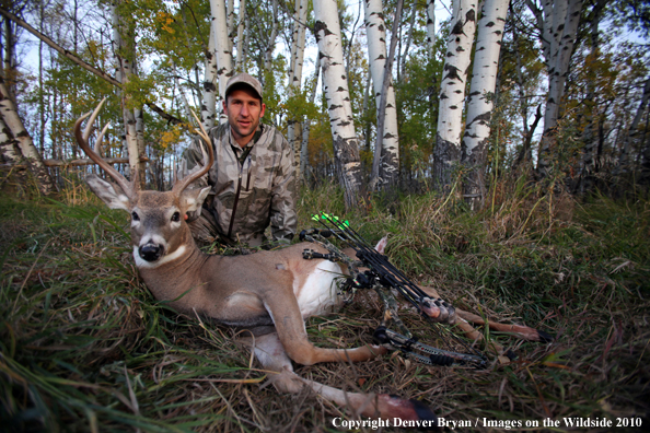 Bowhunter with downed white-tailed buck.