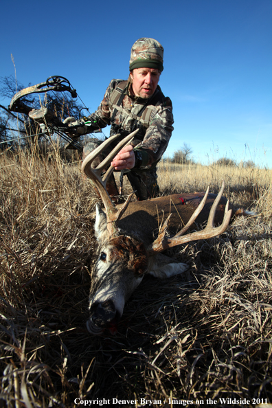 Bowhunter with bagged buck. 