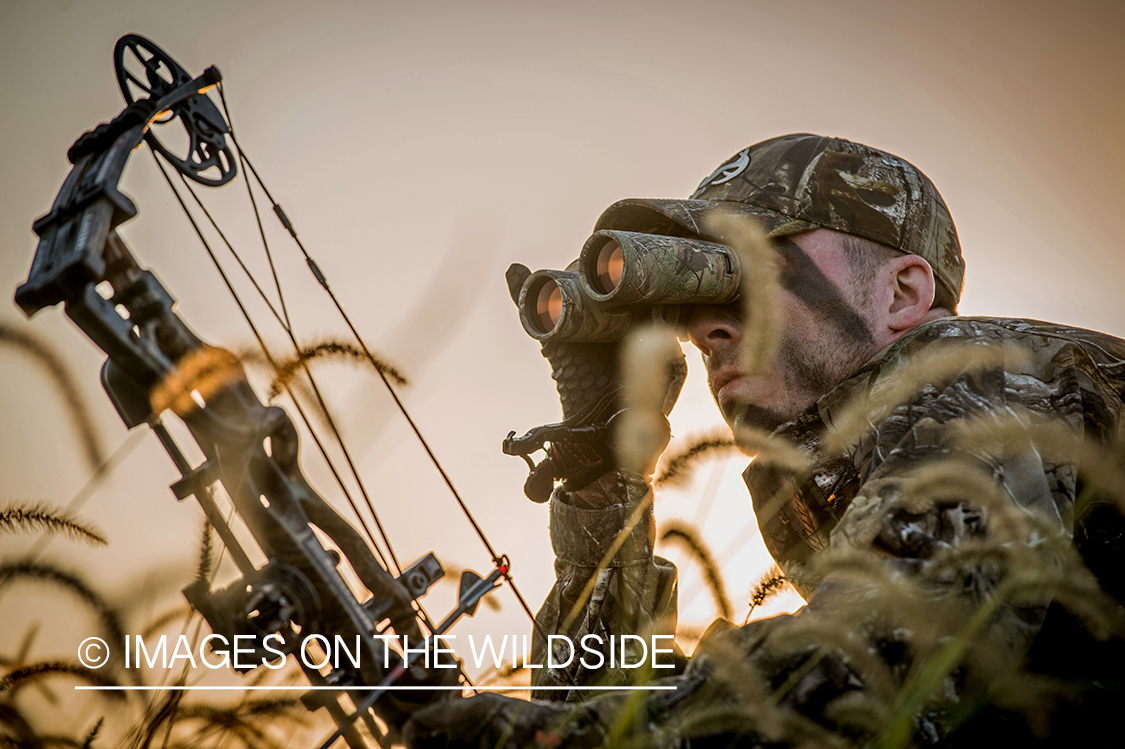Bow hunter glassing in field.
