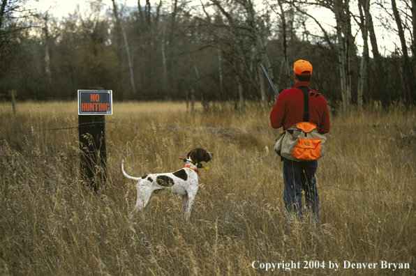 Upland bird hunter with English Pointer at "No Hunting" sign.