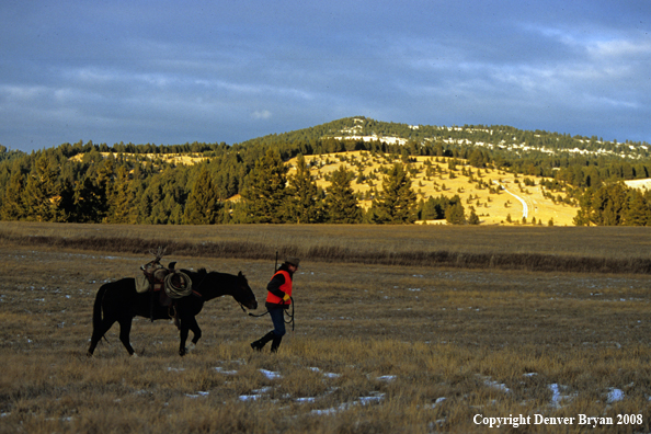 Hunter with Whitetail Deer