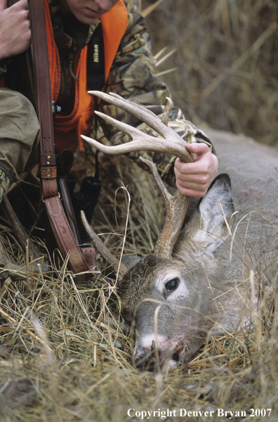 Hunter with downed white-tail deer