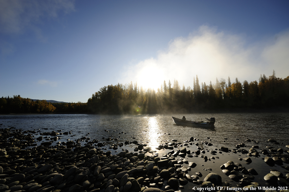 Flyfishing at Skeena River, British Columbia. 