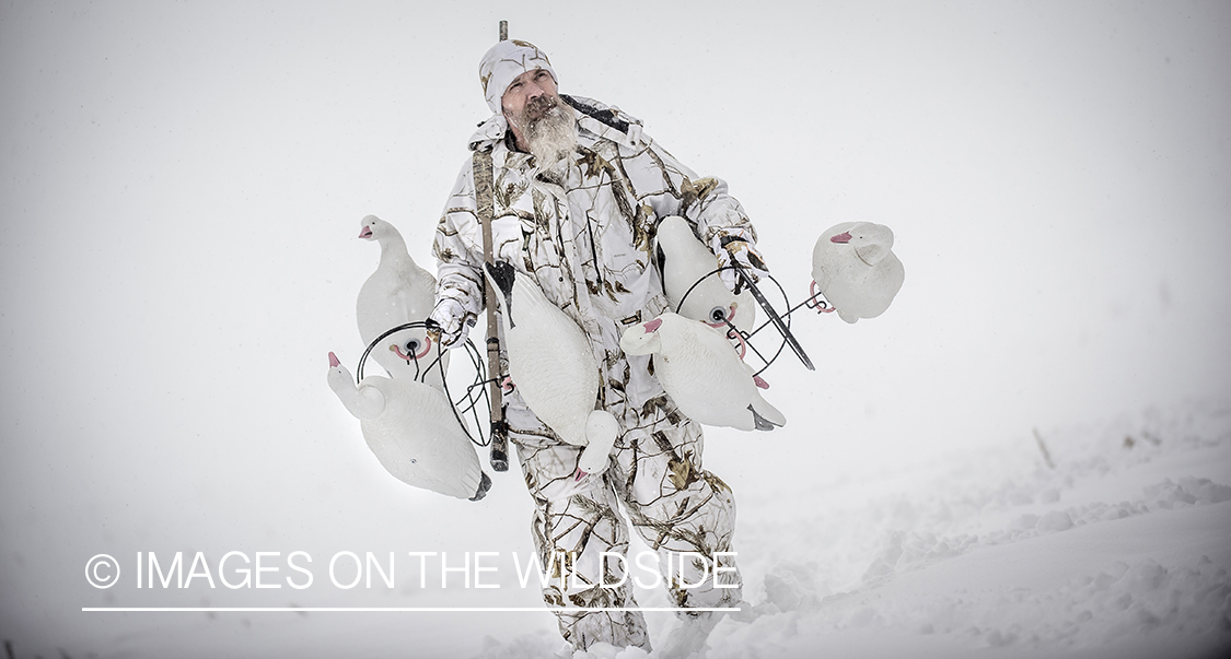 Hunter in winter with goose decoys.