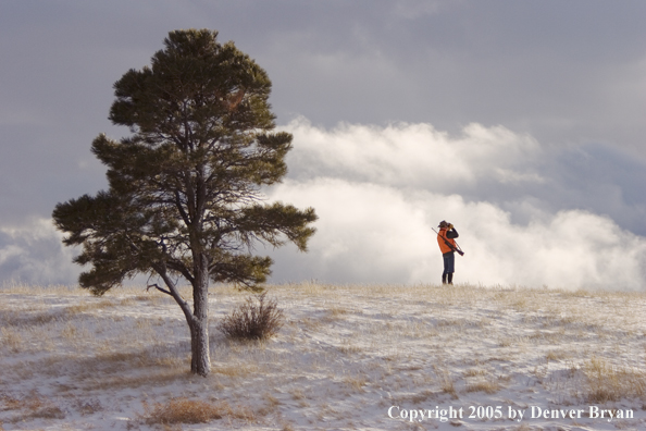 Big game hunter glassing for game.