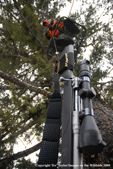 Big game hunter lowering down rifle from tree stand