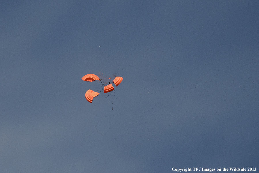 Shotgun breaking clay birds on range.