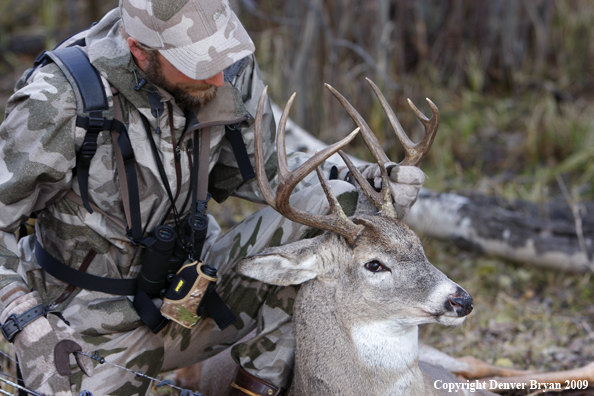 Bowhunter with bagged whitetail buck.