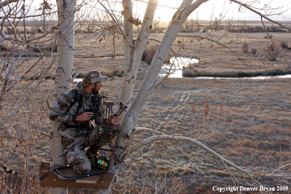 Bowhunter sitting in tree stand.