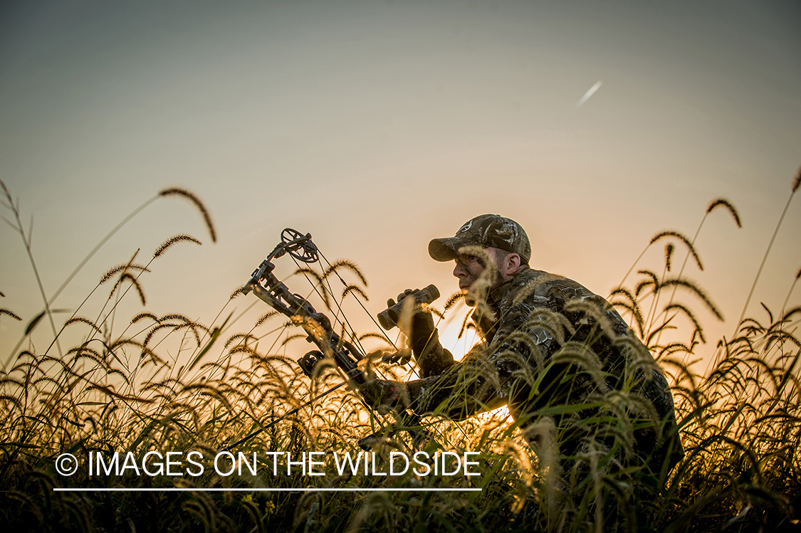 Bow hunter glassing in field.