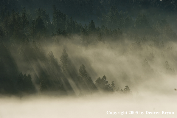 Smith River Valley in fog.