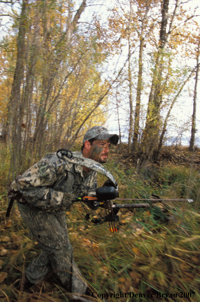 Bow hunter in forest.