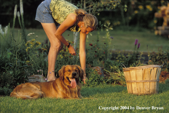 Woman gardening with golden Retriever