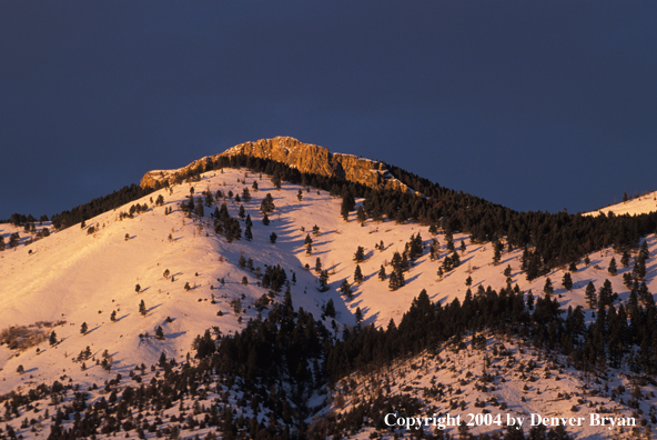 Snow-covered mountain, Bridger Mountain Range, Montana
