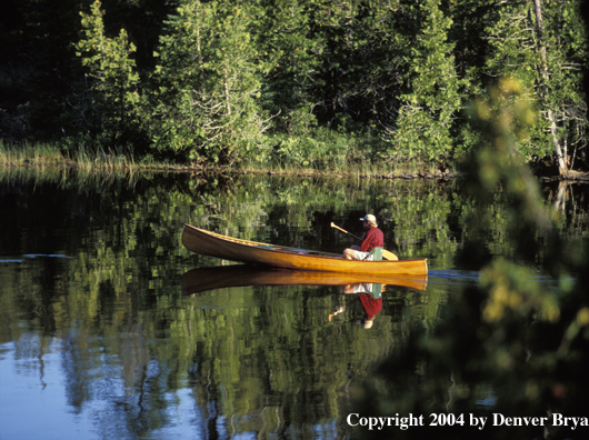 Flyfisherman paddling cedar canoe.