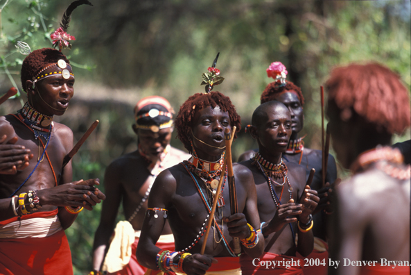 Samburu dancers.  Kenya, Africa