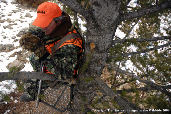 Big game hunter glassing from tree stand