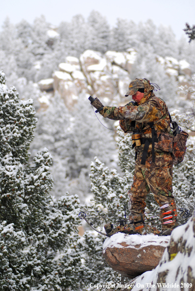 Bowhunter Bugling for Elk
