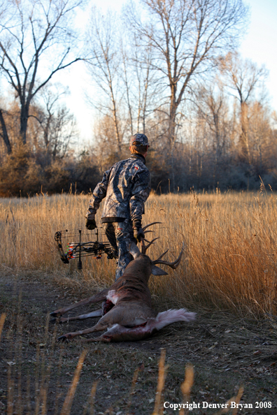 Bowhunter with Whitetail Deer