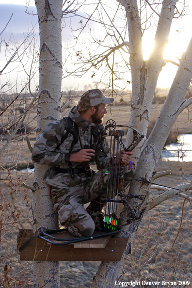 Bowhunter sitting in tree stand.