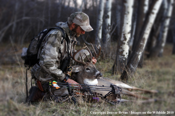 Bowhunter with bagged whitetail buck. (Original image # 11049-016.47)