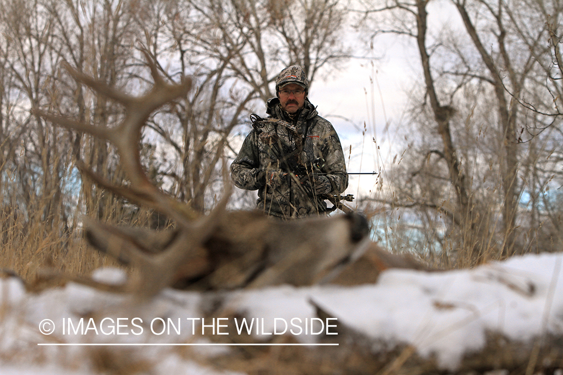 Bowhunter approaching downed white-tailed buck.