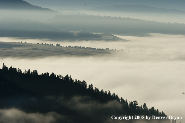 Smith River Valley in fog.