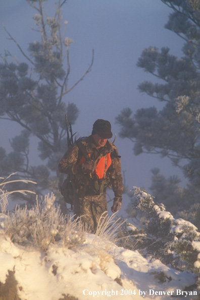 Big game hunter packing out kill.