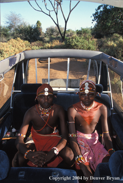 Samburu tribesmen in safari vehicle.  Kenya, Africa