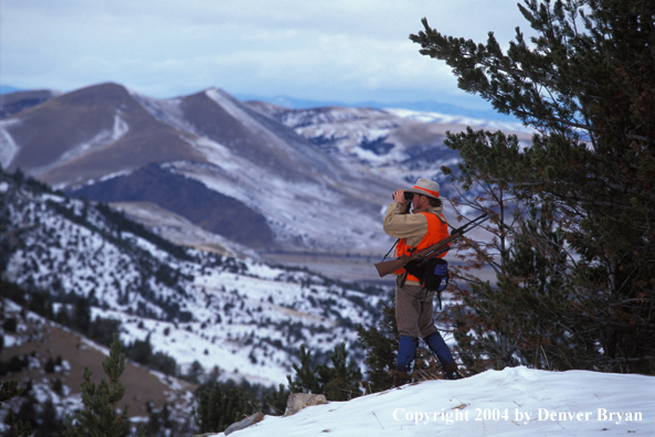 Big game hunter glassing.
