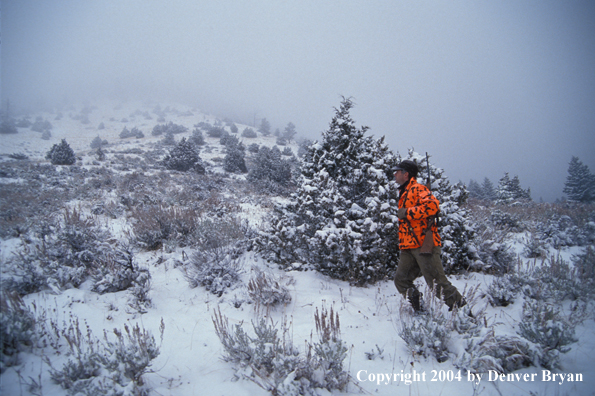 Big game hunter walking.