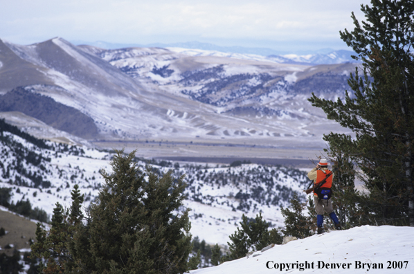 Big Game hunter glassing