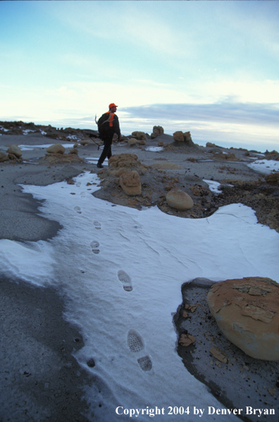 Big game hunter packing out kill.