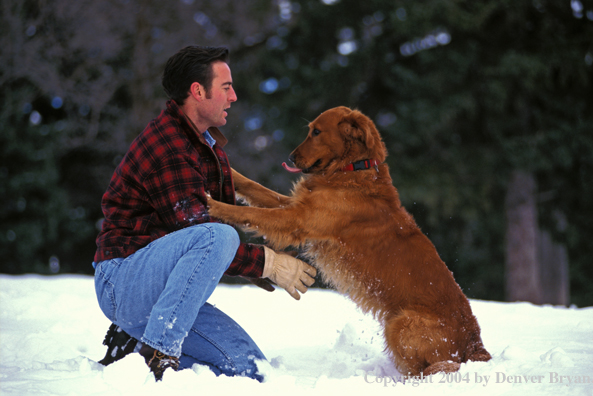 Man playing with golden Retriever