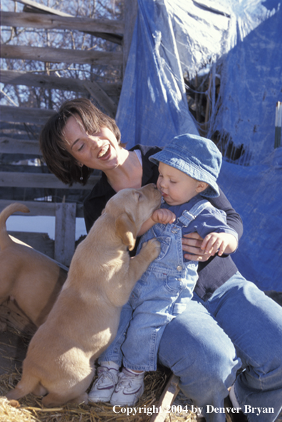 Woman and child with yellow Labrador Retriever puppies