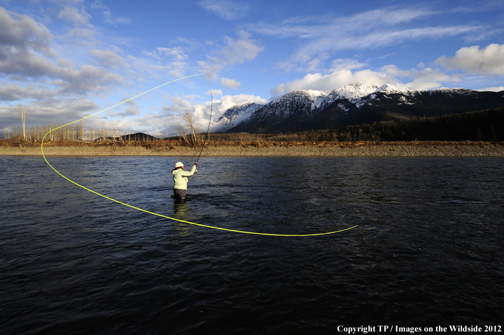 Flyfishing at Skeena River, British Columbia. 