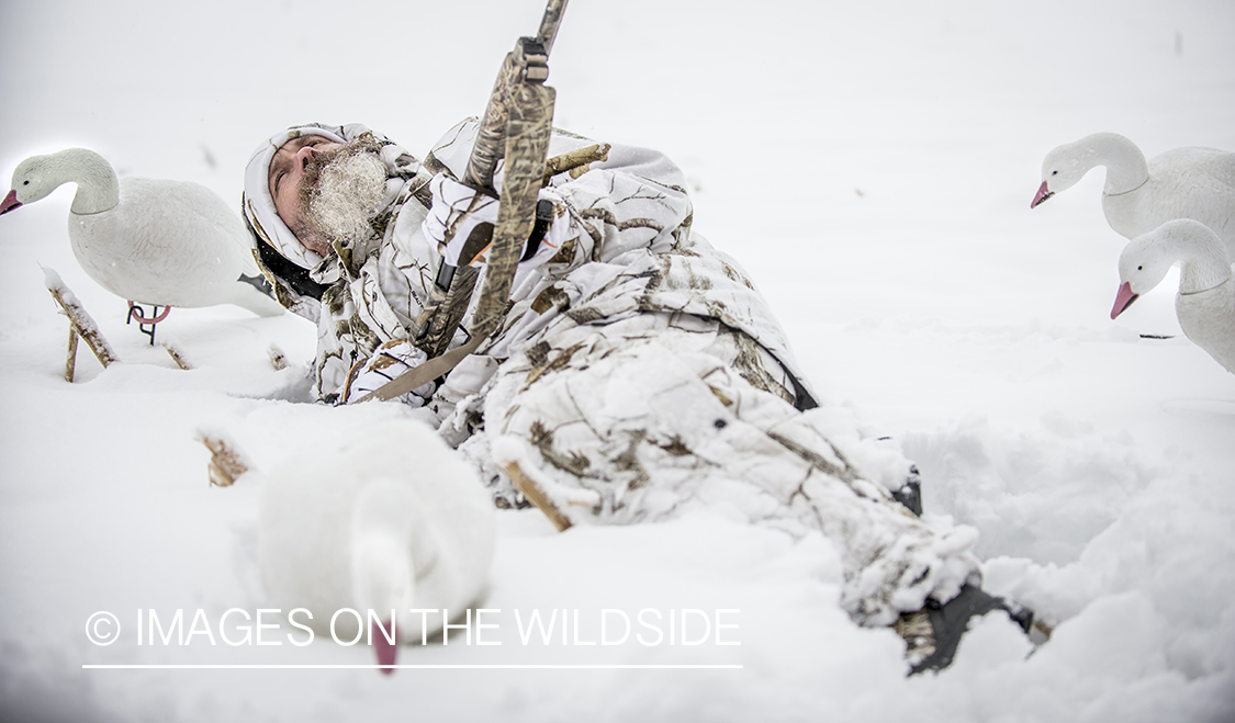 Hunter in winter with goose decoys.