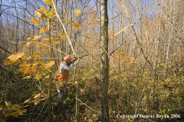Upland bird hunter in field with dog.