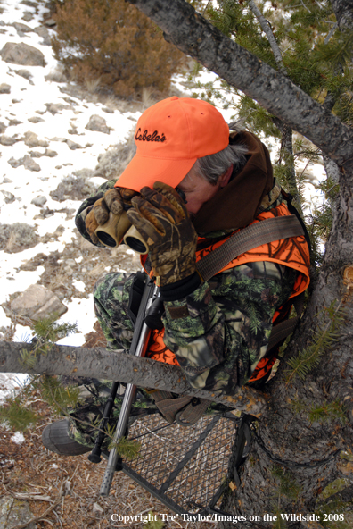 Big game hunter glassing from tree stand
