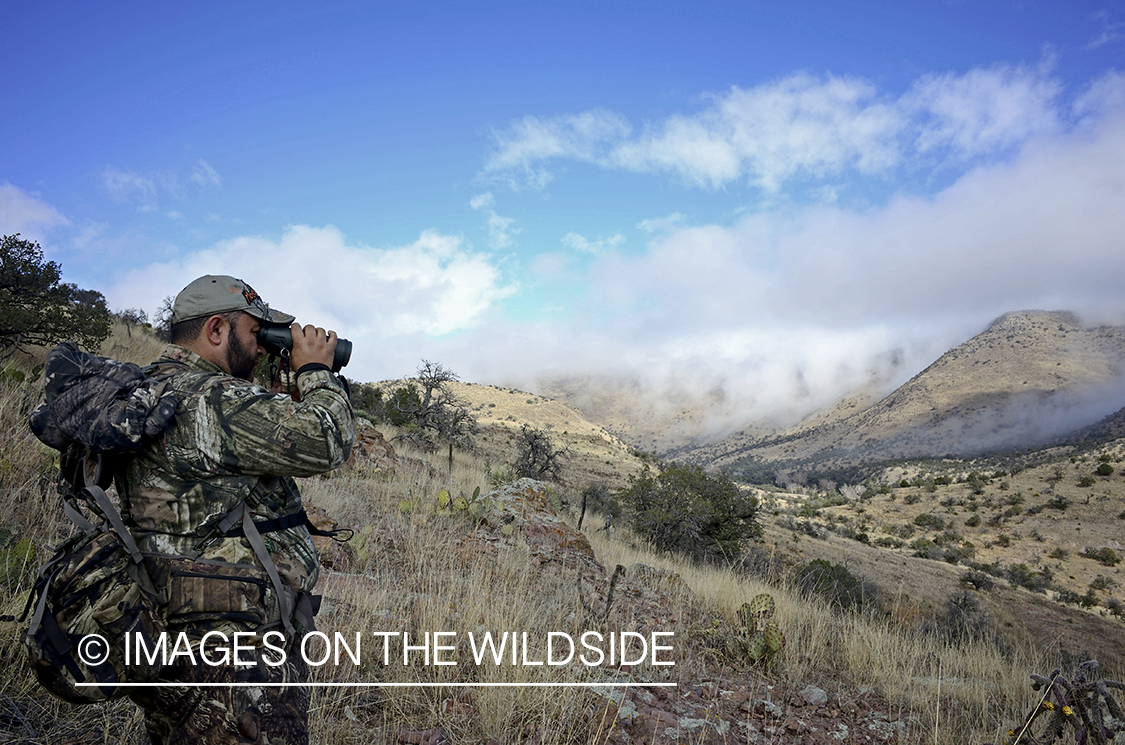 Hunter searching for Coues deer.