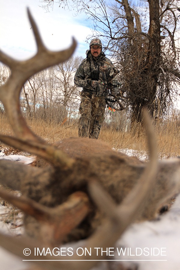 Bowhunter approaching downed white-tailed buck.