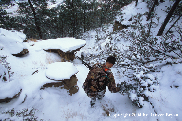 Big game hunter tracking game.