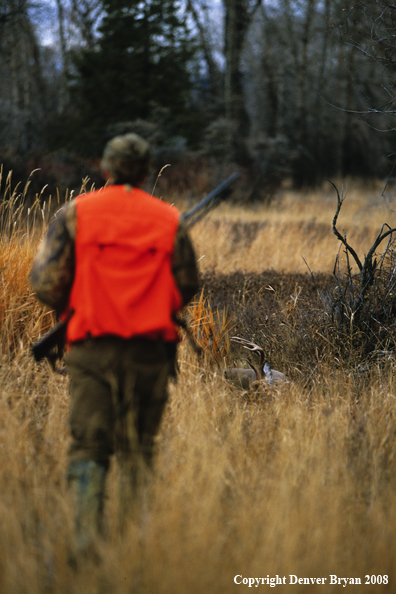 Hunter approaching kill