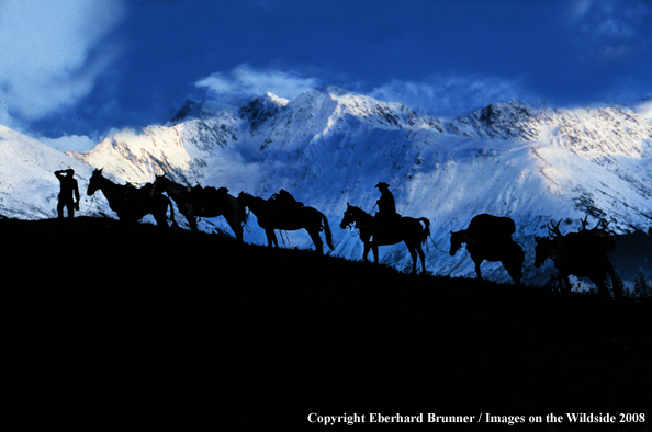 Moose hunters along edge of mountain with pack string