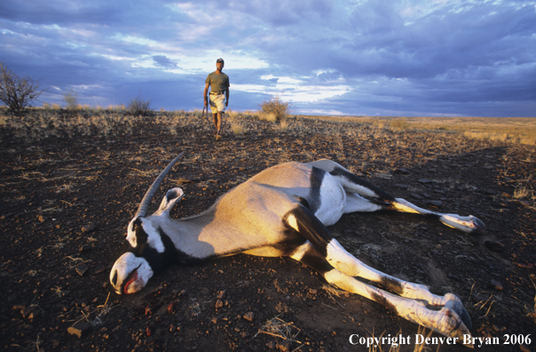 African hunter walking toward kill.