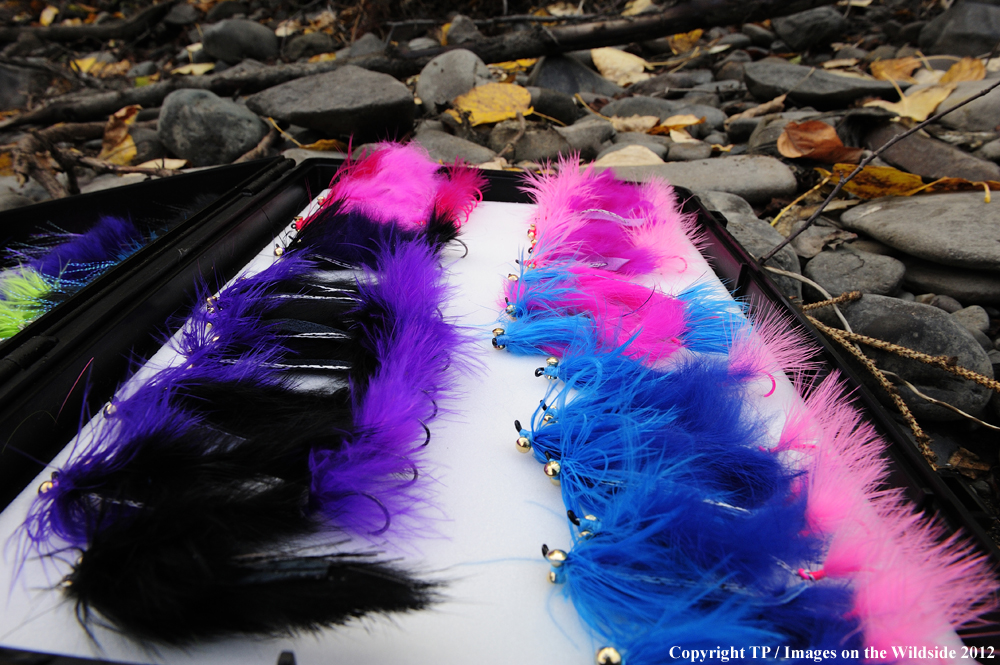 Fisherman's fly box.