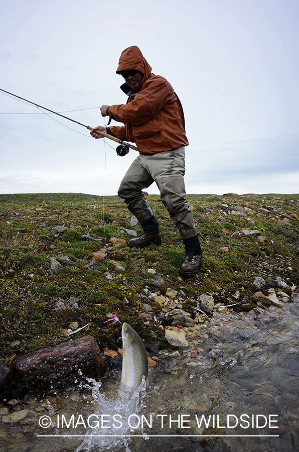 Flyfisherman fighting with Arctic Char.