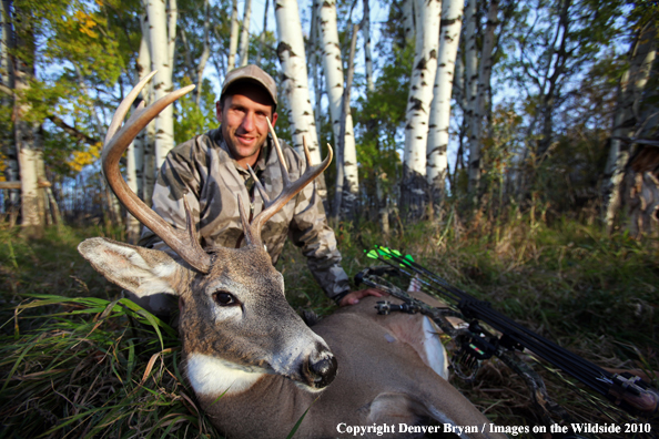 Bowhunter with downed white-tailed buck.