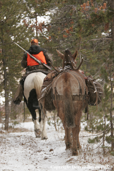 ELk hunter with pack string